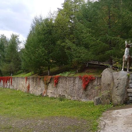 Садиба Федорчуків Гірська Хатина Sheshory Exteriör bild