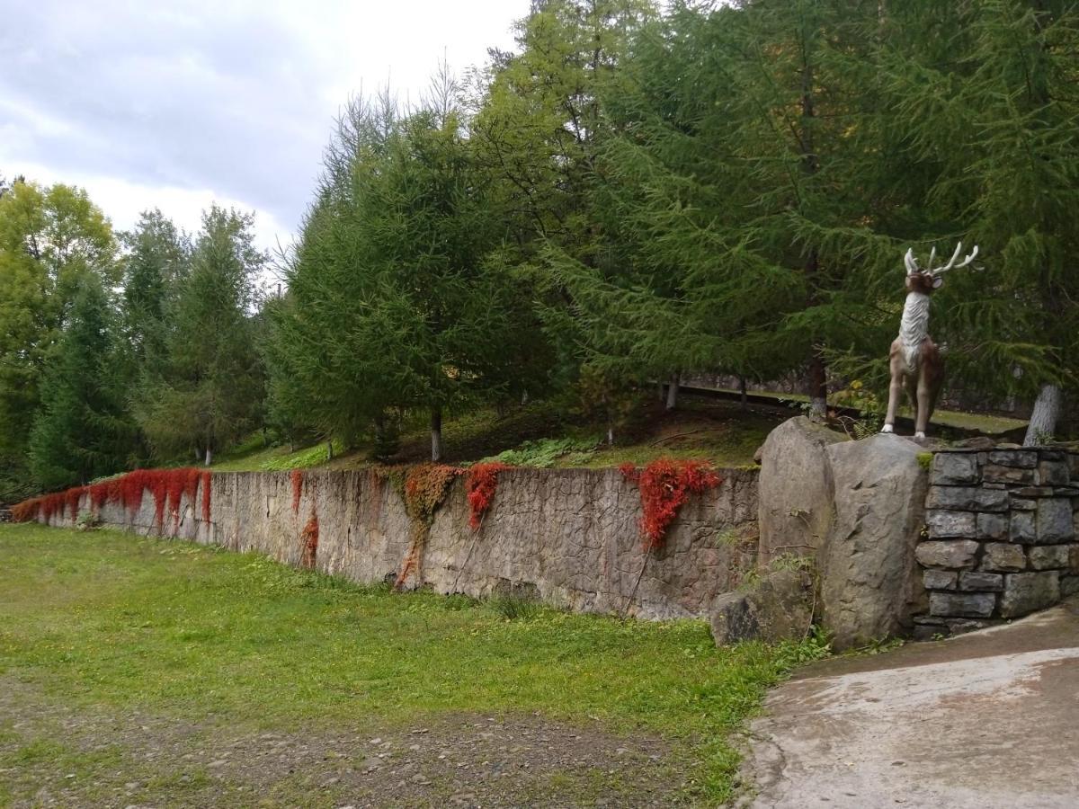 Садиба Федорчуків Гірська Хатина Sheshory Exteriör bild